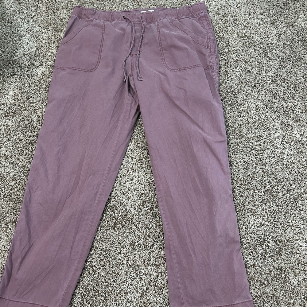 Purple Sonoma Casual Pants